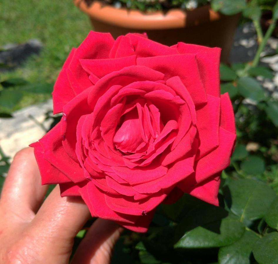 Gemma Di Gallura Charme B&B Олбия Екстериор снимка
